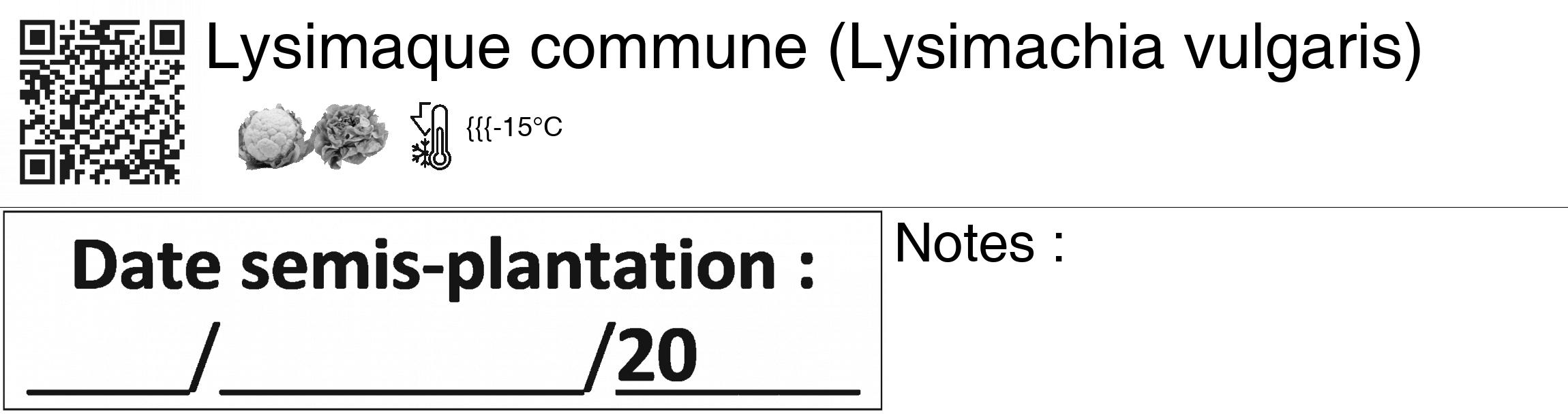 Étiquette de : Lysimachia vulgaris - format c - style noire60_basiquegrrvhel avec qrcode et comestibilité simplifiée