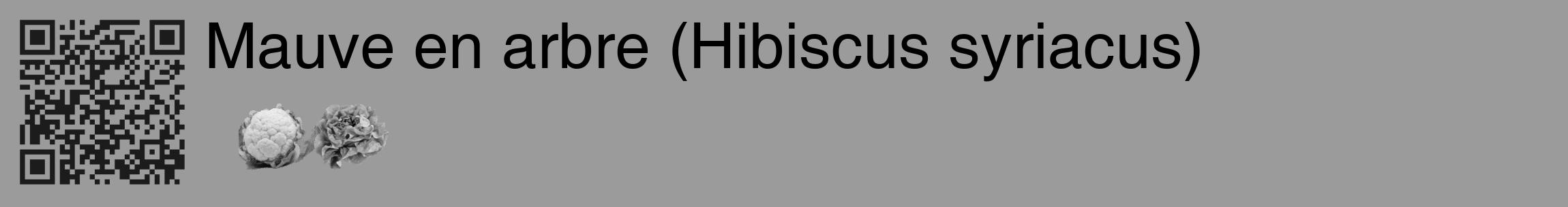 Étiquette de : Hibiscus syriacus - format c - style noire52_basique_basiquehel avec qrcode et comestibilité simplifiée