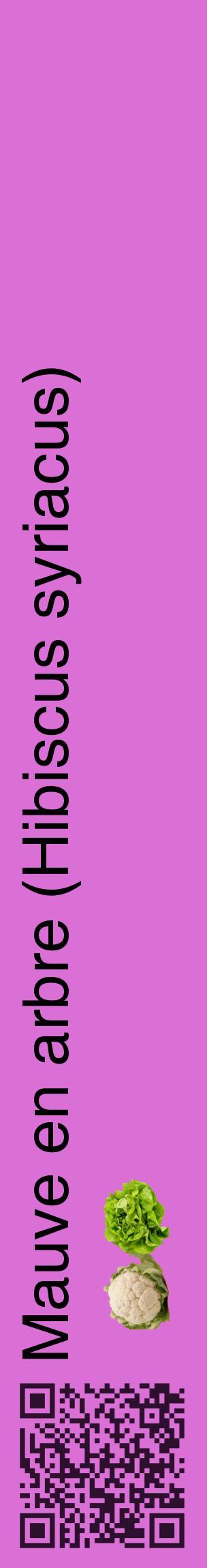 Étiquette de : Hibiscus syriacus - format c - style noire52_basiquehel avec qrcode et comestibilité simplifiée