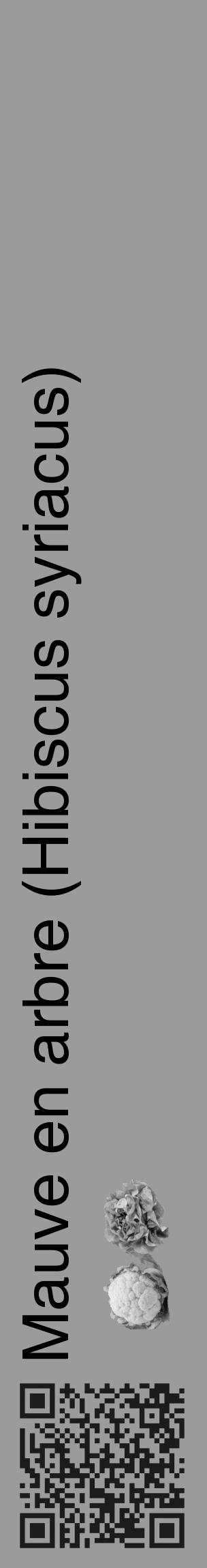 Étiquette de : Hibiscus syriacus - format c - style noire52_basique_basiquehel avec qrcode et comestibilité simplifiée - position verticale