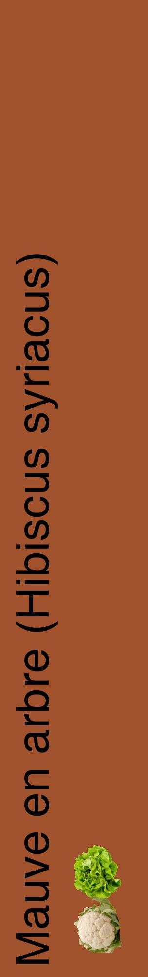 Étiquette de : Hibiscus syriacus - format c - style noire32_basiquehel avec comestibilité simplifiée