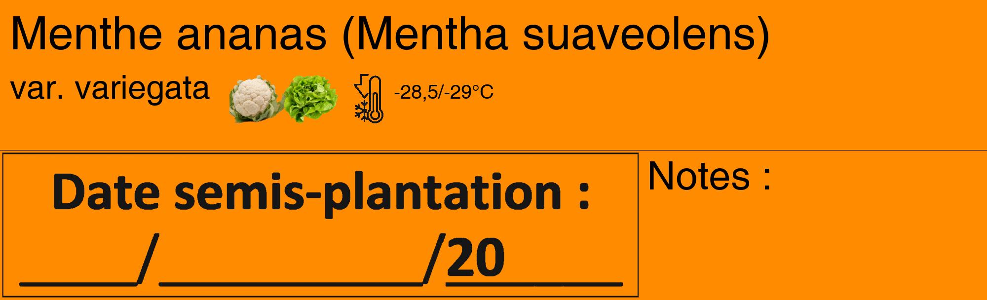 Étiquette de : Mentha suaveolens var. variegata - format c - style noire23_basique_basiquehel avec comestibilité simplifiée