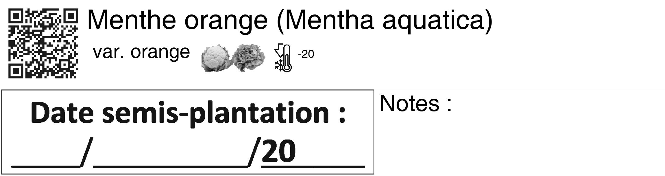 Étiquette de : Mentha aquatica var. orange - format c - style noire60_basiquegrrvhel avec qrcode et comestibilité simplifiée