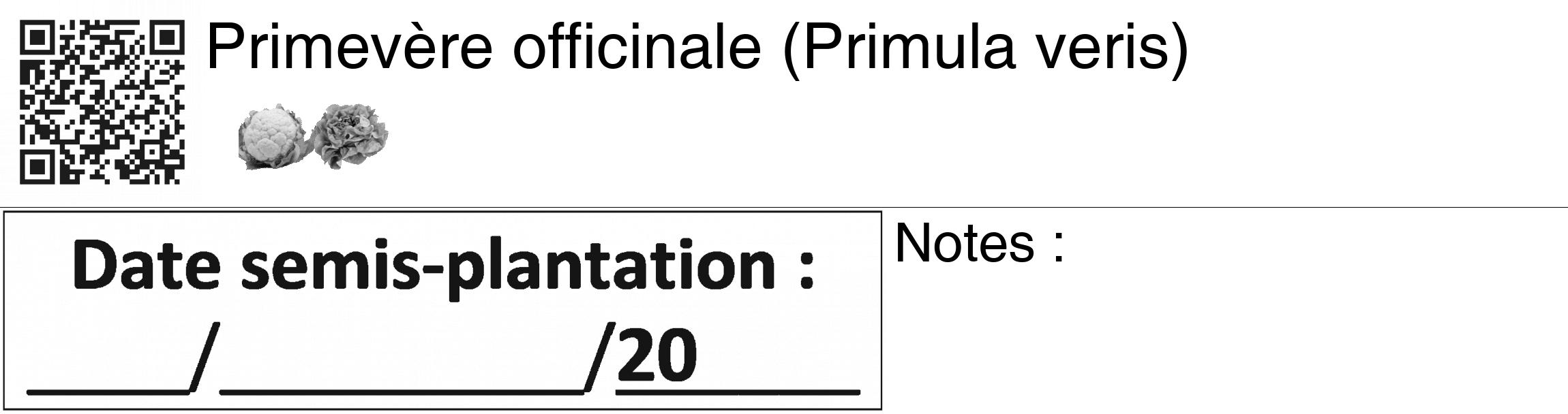 Étiquette de : Primula veris - format c - style noire60_basiquegrrvhel avec qrcode et comestibilité simplifiée