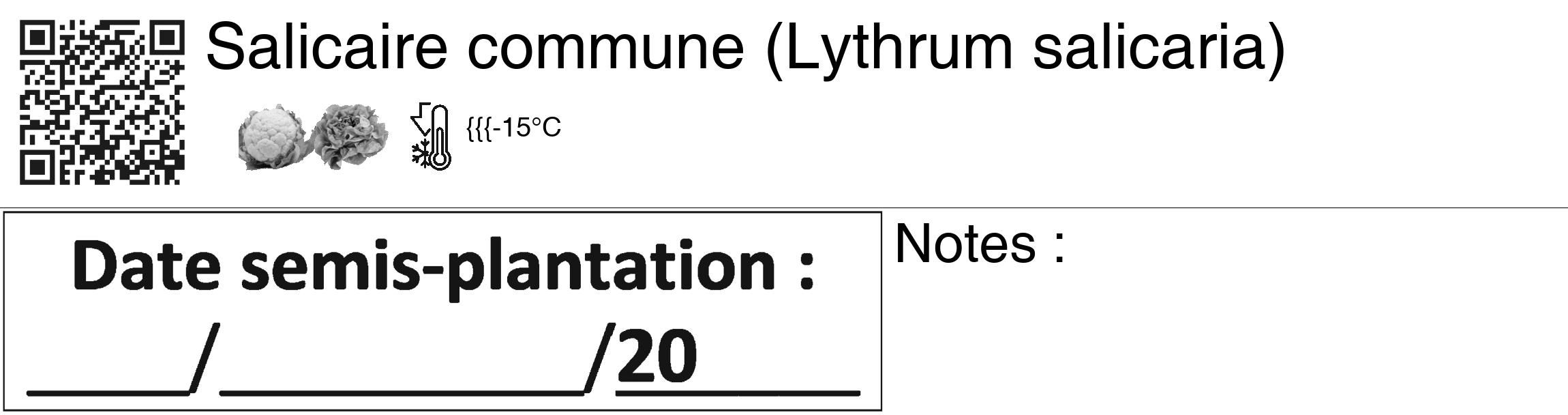 Étiquette de : Lythrum salicaria - format c - style noire60_basiquegrrvhel avec qrcode et comestibilité simplifiée