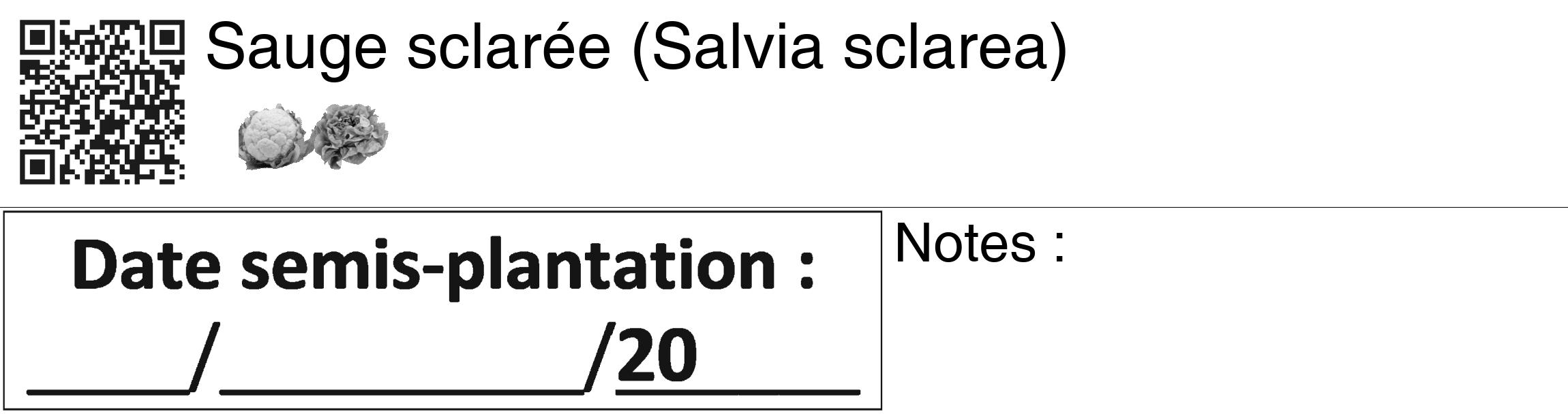 Étiquette de : Salvia sclarea - format c - style noire60_basiquegrrvhel avec qrcode et comestibilité simplifiée