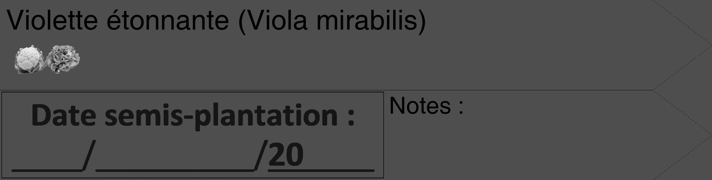 Étiquette de : Viola mirabilis - format c - style noire33_simple_simplehel avec comestibilité simplifiée