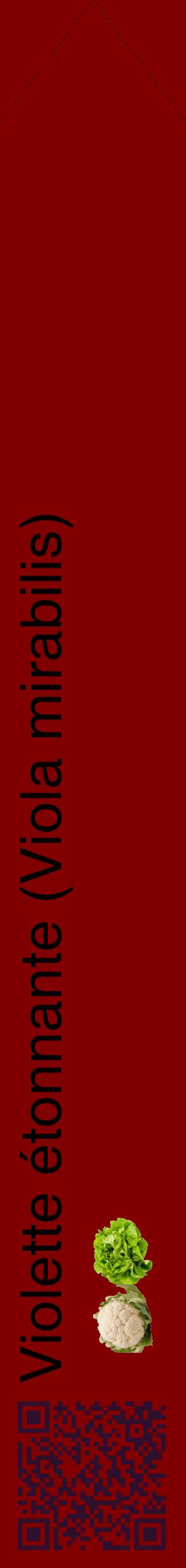 Étiquette de : Viola mirabilis - format c - style noire29_simplehel avec qrcode et comestibilité simplifiée