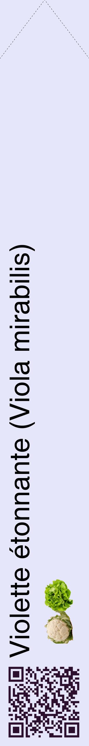 Étiquette de : Viola mirabilis - format c - style noire55_simplehel avec qrcode et comestibilité simplifiée