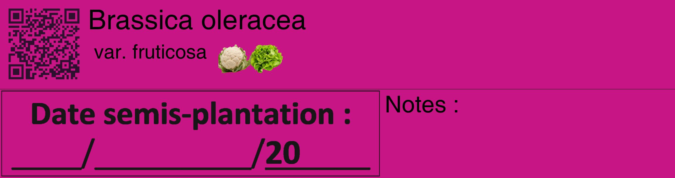 Étiquette de : Brassica oleracea var. fruticosa - format c - style noire45_basique_basiquehel avec qrcode et comestibilité simplifiée