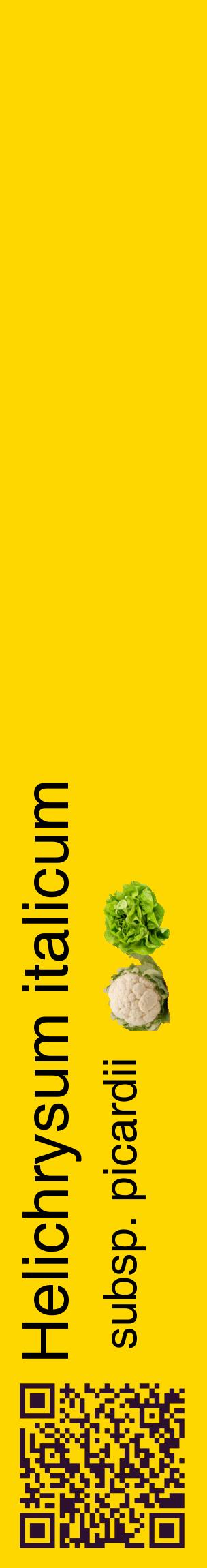 Étiquette de : Helichrysum italicum subsp. picardii - format c - style noire21_basiquehel avec qrcode et comestibilité simplifiée