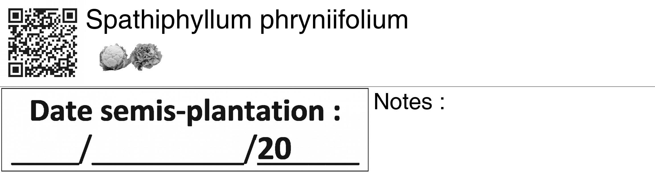 Étiquette de : Spathiphyllum phryniifolium - format c - style noire60_basiquegrrvhel avec qrcode et comestibilité simplifiée