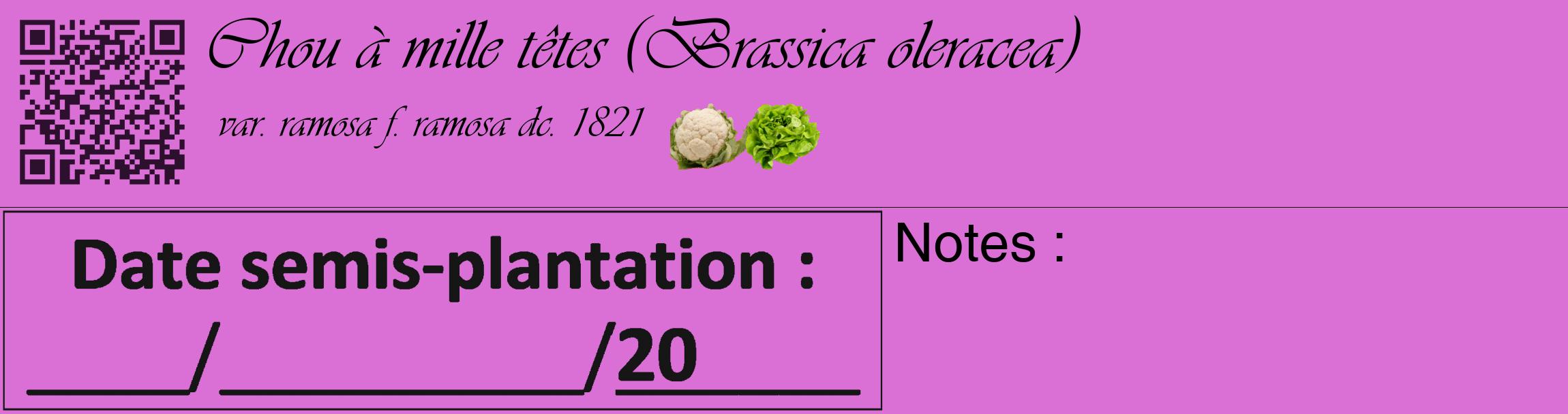 Étiquette de : Brassica oleracea var. ramosa f. ramosa dc. 1821 - format c - style noire52_basique_basiqueviv avec qrcode et comestibilité simplifiée
