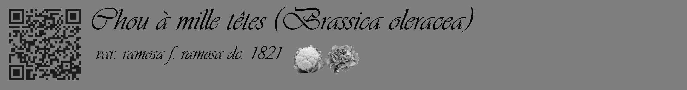 Étiquette de : Brassica oleracea var. ramosa f. ramosa dc. 1821 - format c - style noire57_basique_basiqueviv avec qrcode et comestibilité simplifiée
