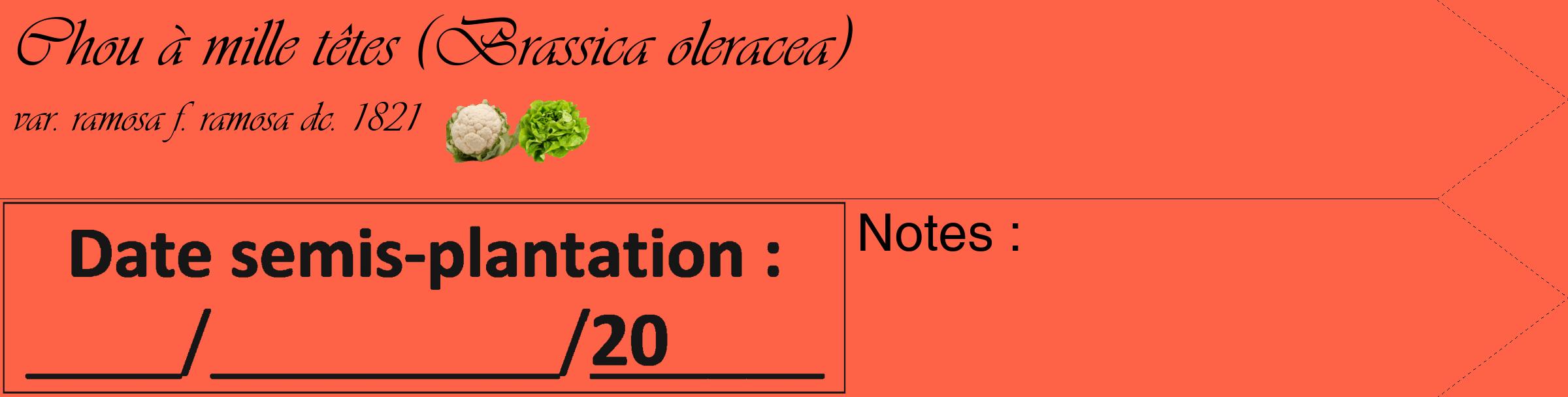 Étiquette de : Brassica oleracea var. ramosa f. ramosa dc. 1821 - format c - style noire25_simple_simpleviv avec comestibilité simplifiée