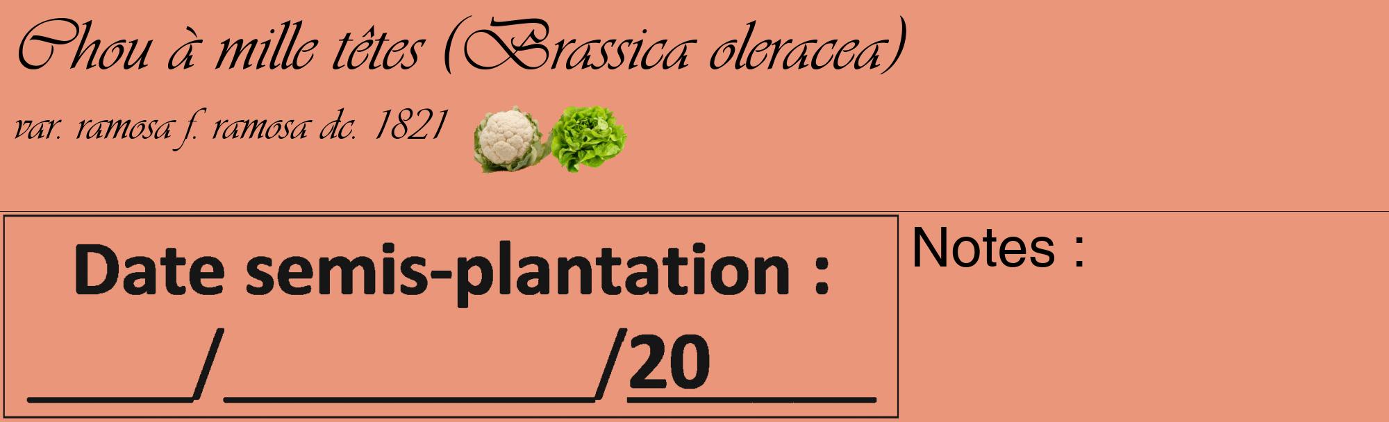 Étiquette de : Brassica oleracea var. ramosa f. ramosa dc. 1821 - format c - style noire37_basique_basiqueviv avec comestibilité simplifiée