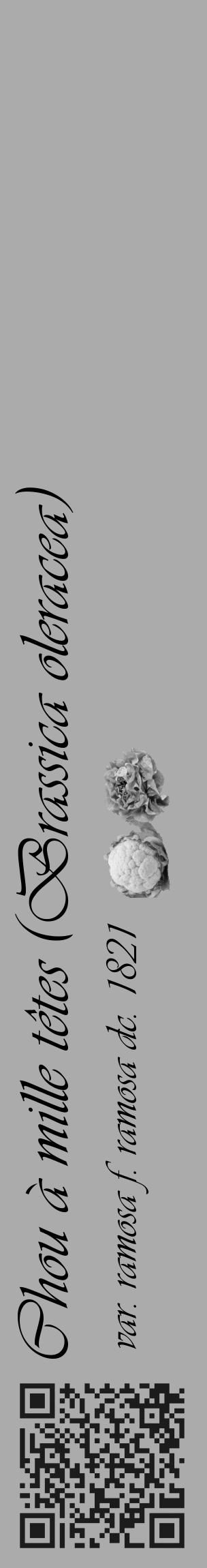 Étiquette de : Brassica oleracea var. ramosa f. ramosa dc. 1821 - format c - style noire37_basique_basiqueviv avec qrcode et comestibilité simplifiée - position verticale
