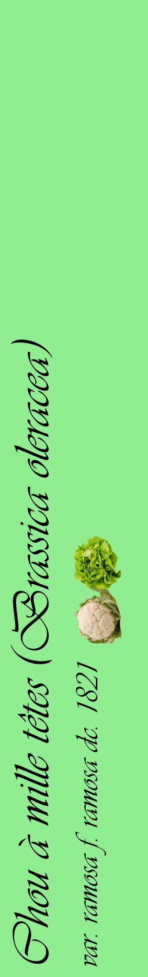 Étiquette de : Brassica oleracea var. ramosa f. ramosa dc. 1821 - format c - style noire15_basiqueviv avec comestibilité simplifiée