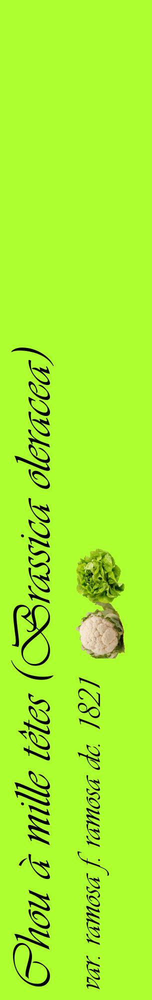 Étiquette de : Brassica oleracea var. ramosa f. ramosa dc. 1821 - format c - style noire17_basiqueviv avec comestibilité simplifiée