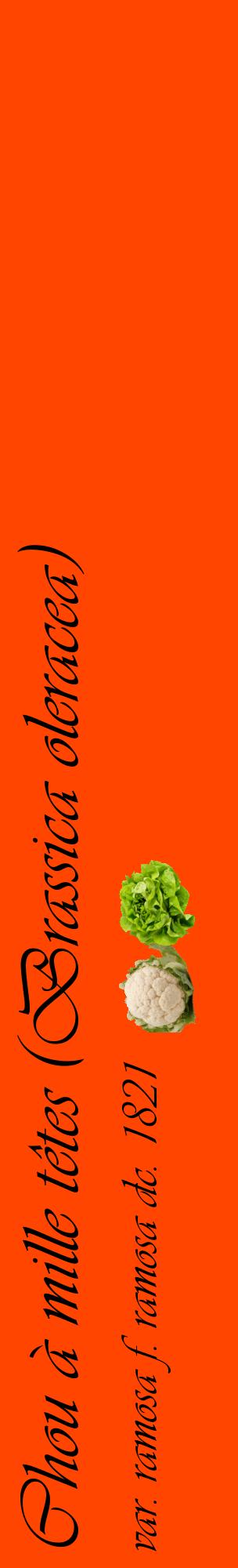 Étiquette de : Brassica oleracea var. ramosa f. ramosa dc. 1821 - format c - style noire26_basiqueviv avec comestibilité simplifiée