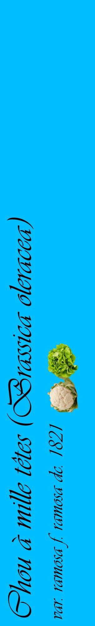 Étiquette de : Brassica oleracea var. ramosa f. ramosa dc. 1821 - format c - style noire2_basiqueviv avec comestibilité simplifiée