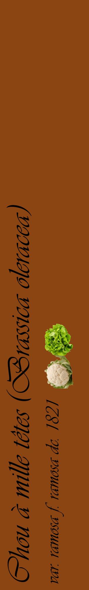 Étiquette de : Brassica oleracea var. ramosa f. ramosa dc. 1821 - format c - style noire30_basiqueviv avec comestibilité simplifiée