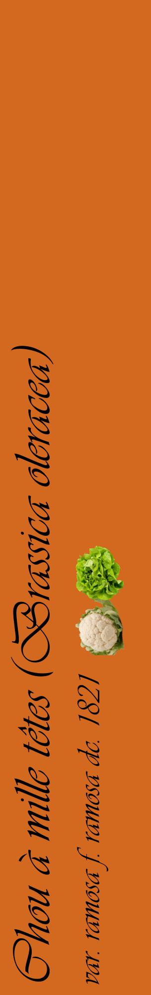 Étiquette de : Brassica oleracea var. ramosa f. ramosa dc. 1821 - format c - style noire31_basiqueviv avec comestibilité simplifiée