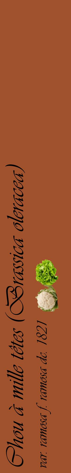 Étiquette de : Brassica oleracea var. ramosa f. ramosa dc. 1821 - format c - style noire32_basiqueviv avec comestibilité simplifiée