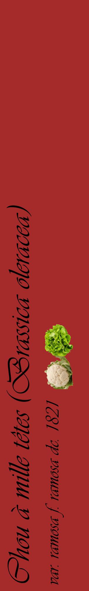 Étiquette de : Brassica oleracea var. ramosa f. ramosa dc. 1821 - format c - style noire33_basiqueviv avec comestibilité simplifiée