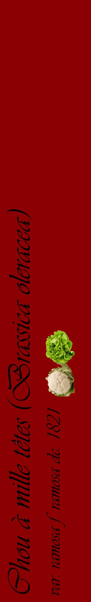 Étiquette de : Brassica oleracea var. ramosa f. ramosa dc. 1821 - format c - style noire34_basiqueviv avec comestibilité simplifiée