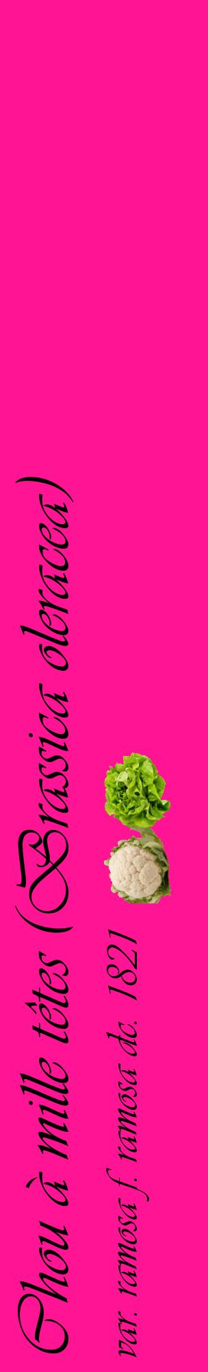 Étiquette de : Brassica oleracea var. ramosa f. ramosa dc. 1821 - format c - style noire43_basiqueviv avec comestibilité simplifiée