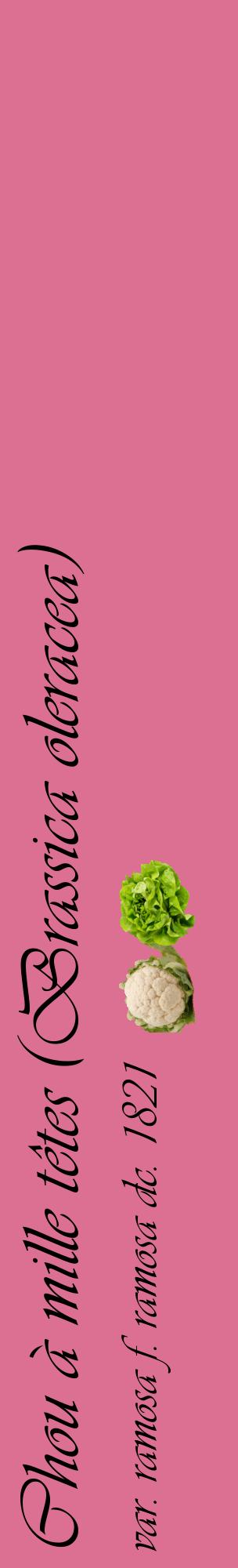 Étiquette de : Brassica oleracea var. ramosa f. ramosa dc. 1821 - format c - style noire44_basiqueviv avec comestibilité simplifiée