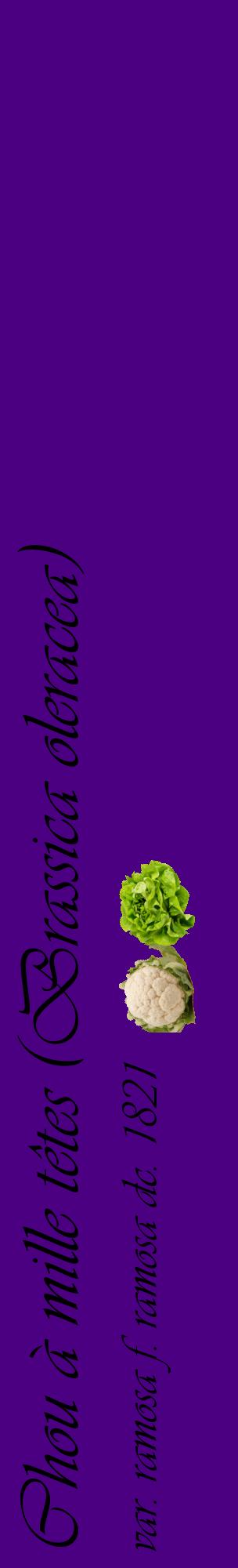 Étiquette de : Brassica oleracea var. ramosa f. ramosa dc. 1821 - format c - style noire47_basiqueviv avec comestibilité simplifiée