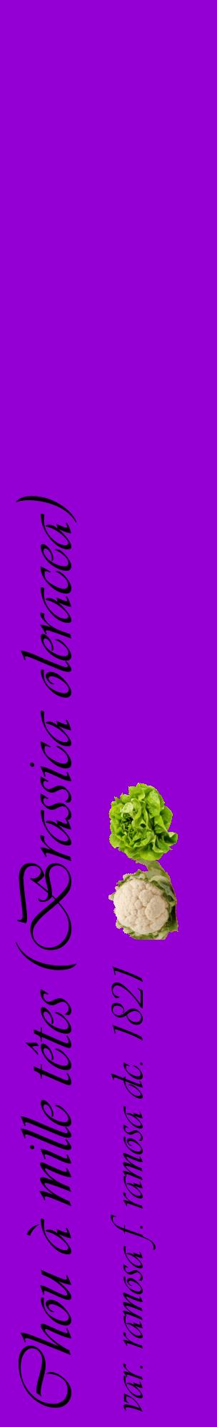 Étiquette de : Brassica oleracea var. ramosa f. ramosa dc. 1821 - format c - style noire48_basiqueviv avec comestibilité simplifiée