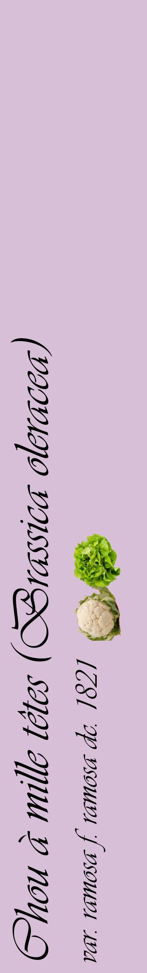 Étiquette de : Brassica oleracea var. ramosa f. ramosa dc. 1821 - format c - style noire54_basiqueviv avec comestibilité simplifiée