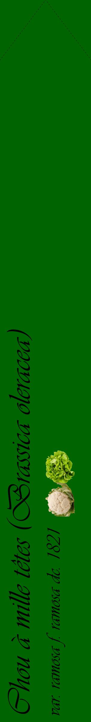 Étiquette de : Brassica oleracea var. ramosa f. ramosa dc. 1821 - format c - style noire8_simpleviv avec comestibilité simplifiée
