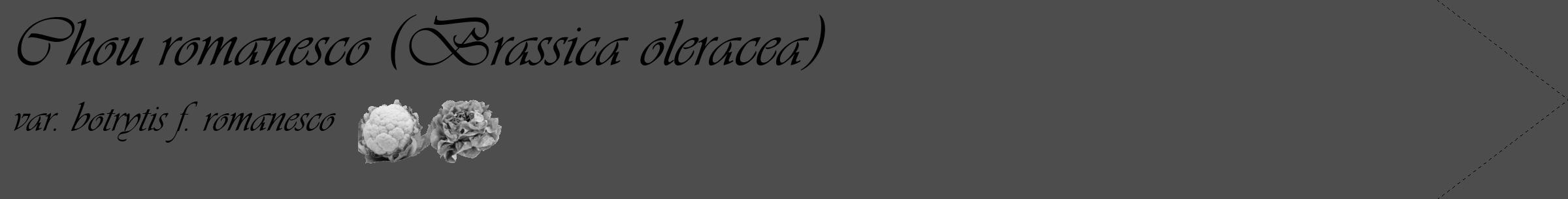 Étiquette de : Brassica oleracea var. botrytis f. romanesco - format c - style noire28_simple_simpleviv avec comestibilité simplifiée