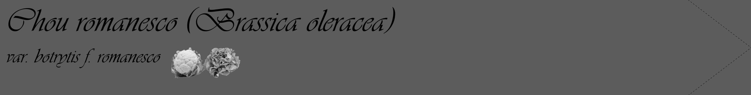 Étiquette de : Brassica oleracea var. botrytis f. romanesco - format c - style noire49_simple_simpleviv avec comestibilité simplifiée