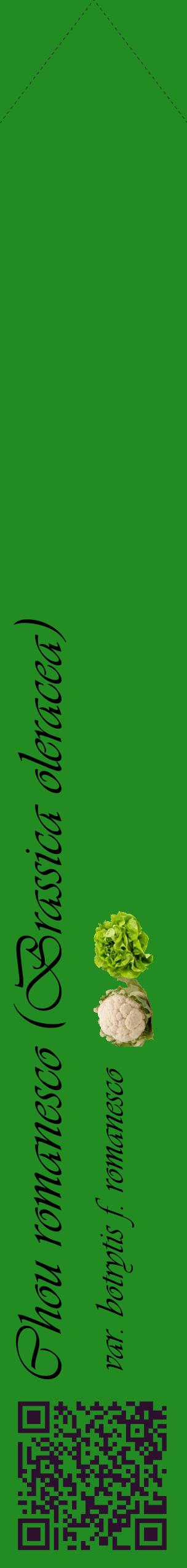 Étiquette de : Brassica oleracea var. botrytis f. romanesco - format c - style noire10_simpleviv avec qrcode et comestibilité simplifiée