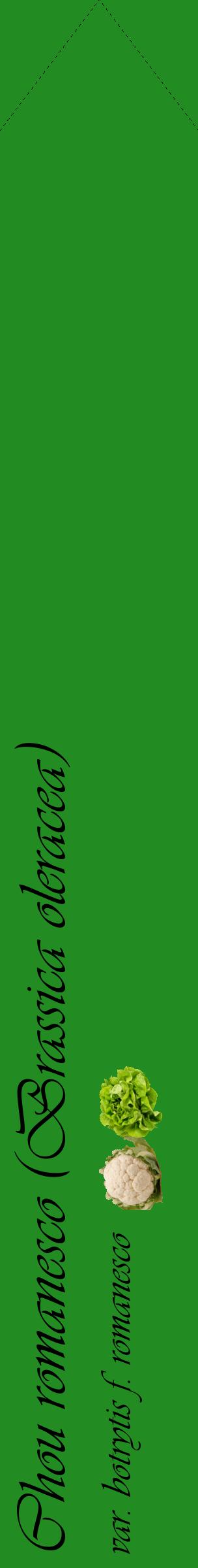 Étiquette de : Brassica oleracea var. botrytis f. romanesco - format c - style noire10_simpleviv avec comestibilité simplifiée