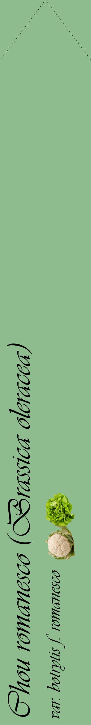 Étiquette de : Brassica oleracea var. botrytis f. romanesco - format c - style noire13_simpleviv avec comestibilité simplifiée