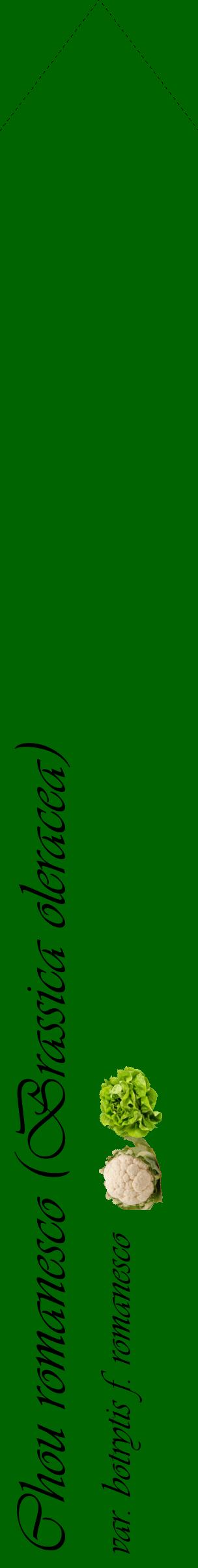 Étiquette de : Brassica oleracea var. botrytis f. romanesco - format c - style noire8_simpleviv avec comestibilité simplifiée