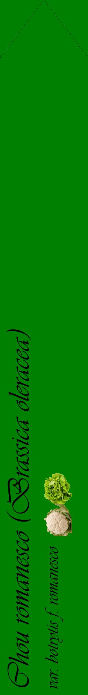 Étiquette de : Brassica oleracea var. botrytis f. romanesco - format c - style noire9_simpleviv avec comestibilité simplifiée