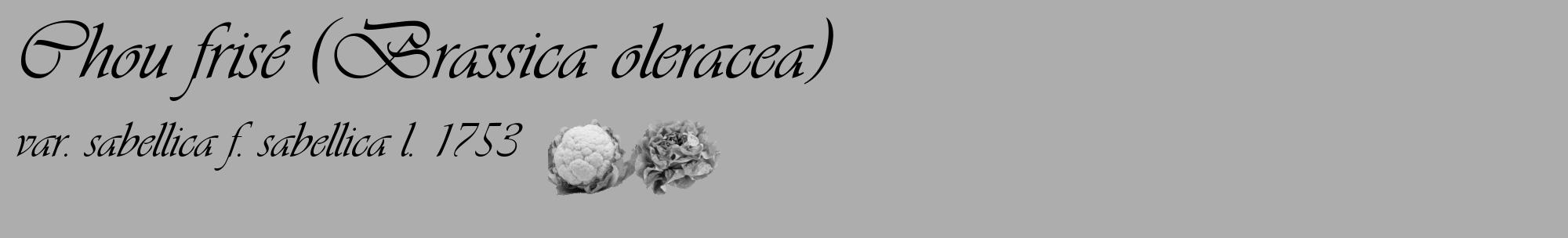 Étiquette de : Brassica oleracea var. sabellica f. sabellica l. 1753 - format c - style noire22_basique_basiqueviv avec comestibilité simplifiée