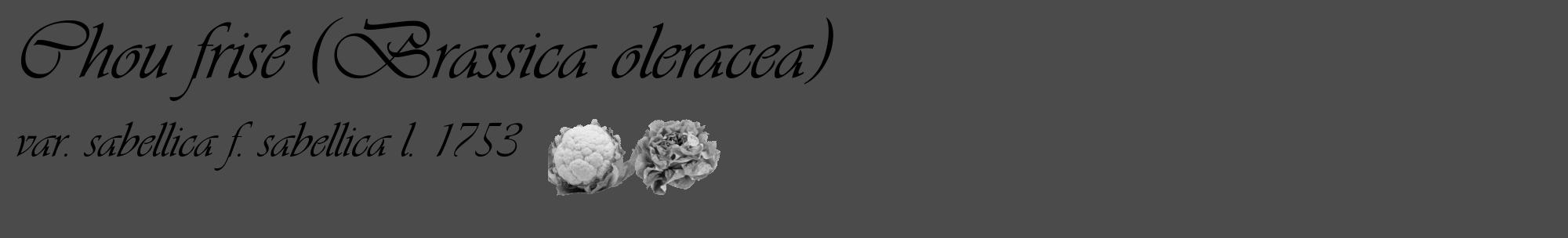 Étiquette de : Brassica oleracea var. sabellica f. sabellica l. 1753 - format c - style noire9_basique_basiqueviv avec comestibilité simplifiée