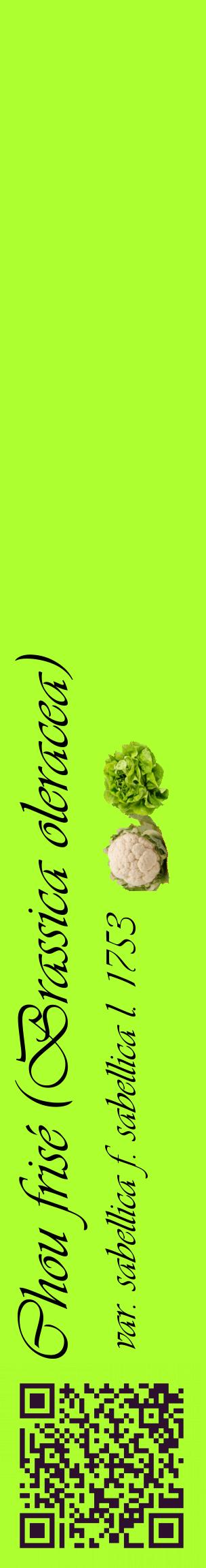 Étiquette de : Brassica oleracea var. sabellica f. sabellica l. 1753 - format c - style noire17_basiqueviv avec qrcode et comestibilité simplifiée