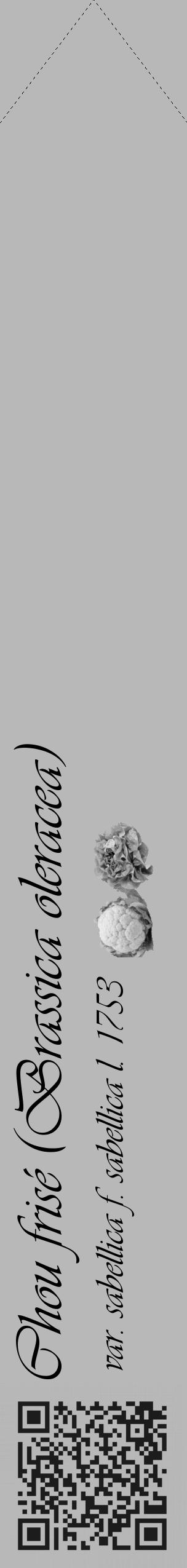 Étiquette de : Brassica oleracea var. sabellica f. sabellica l. 1753 - format c - style noire39simple_basique_basiqueviv avec qrcode et comestibilité simplifiée - position verticale