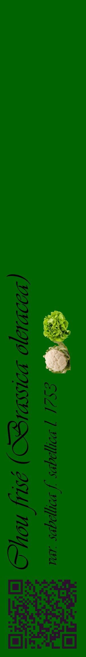 Étiquette de : Brassica oleracea var. sabellica f. sabellica l. 1753 - format c - style noire8_basiqueviv avec qrcode et comestibilité simplifiée