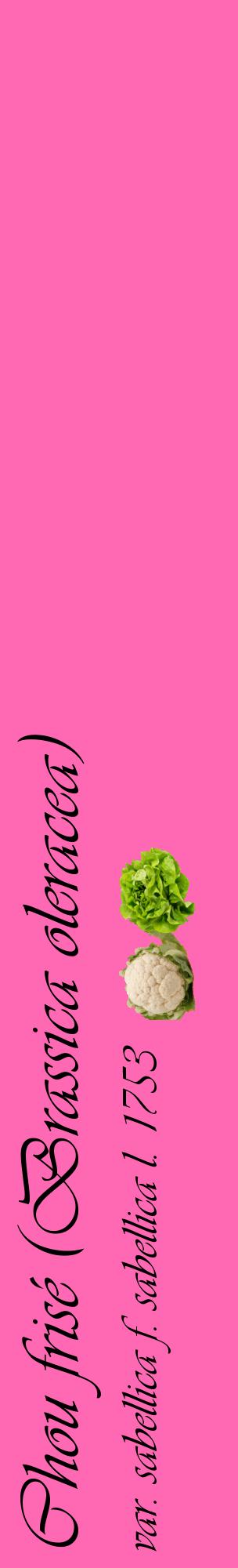 Étiquette de : Brassica oleracea var. sabellica f. sabellica l. 1753 - format c - style noire42_basiqueviv avec comestibilité simplifiée