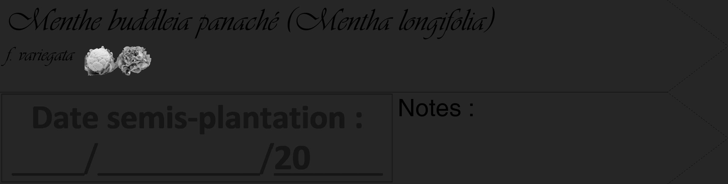 Étiquette de : Mentha longifolia f. variegata - format c - style noire29_simple_simpleviv avec comestibilité simplifiée